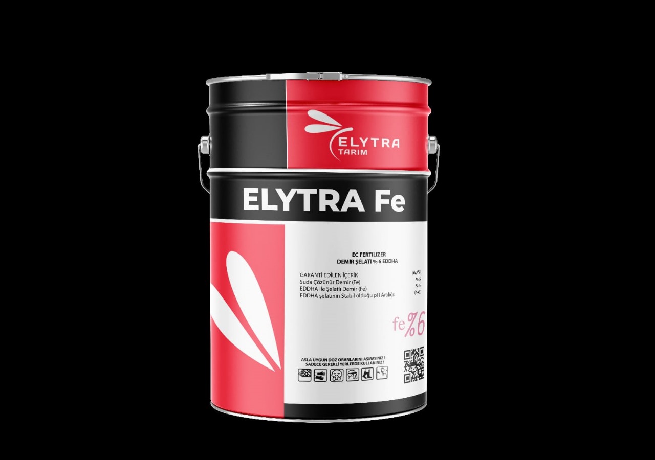 ELYTRA Fe