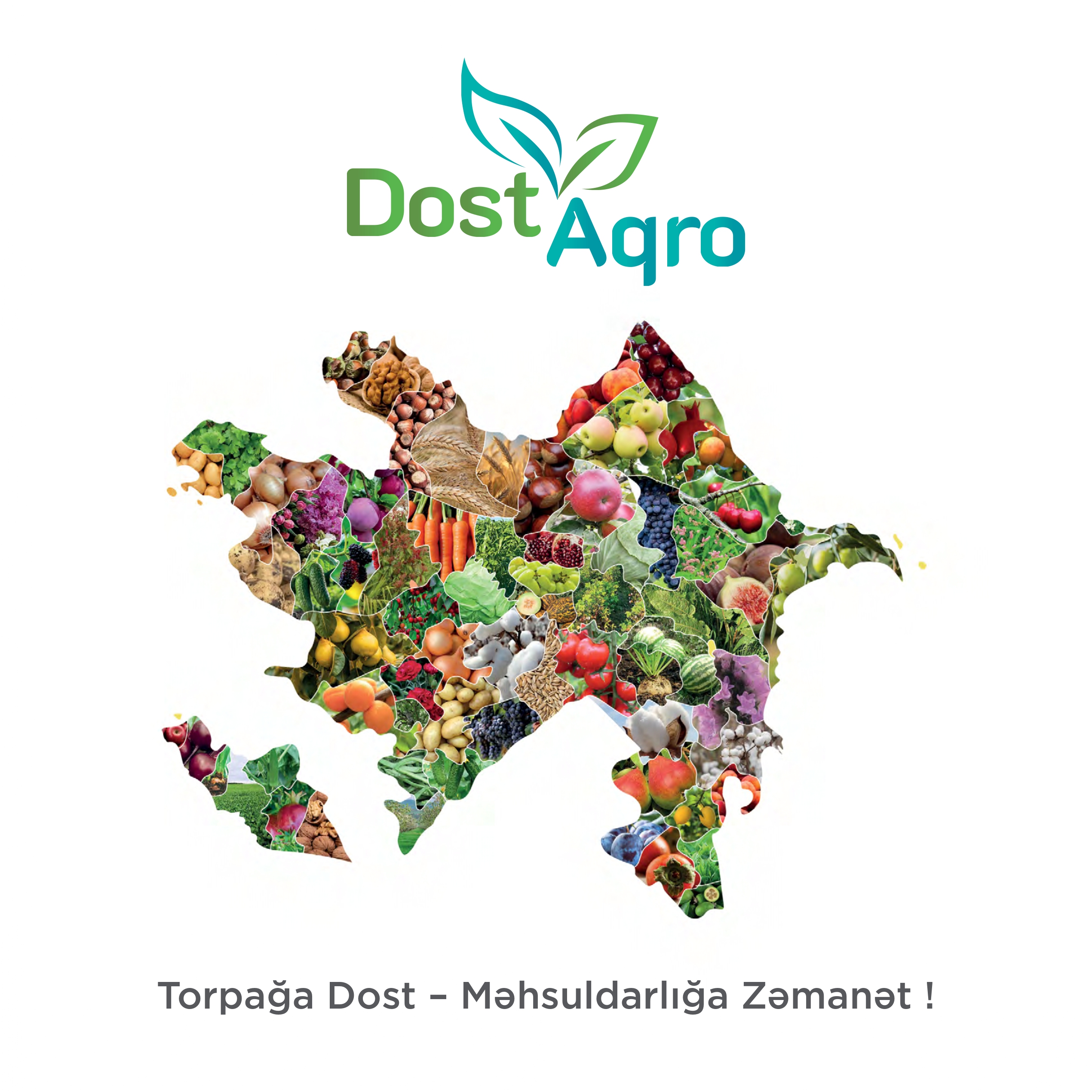 Dost Aqro MMC