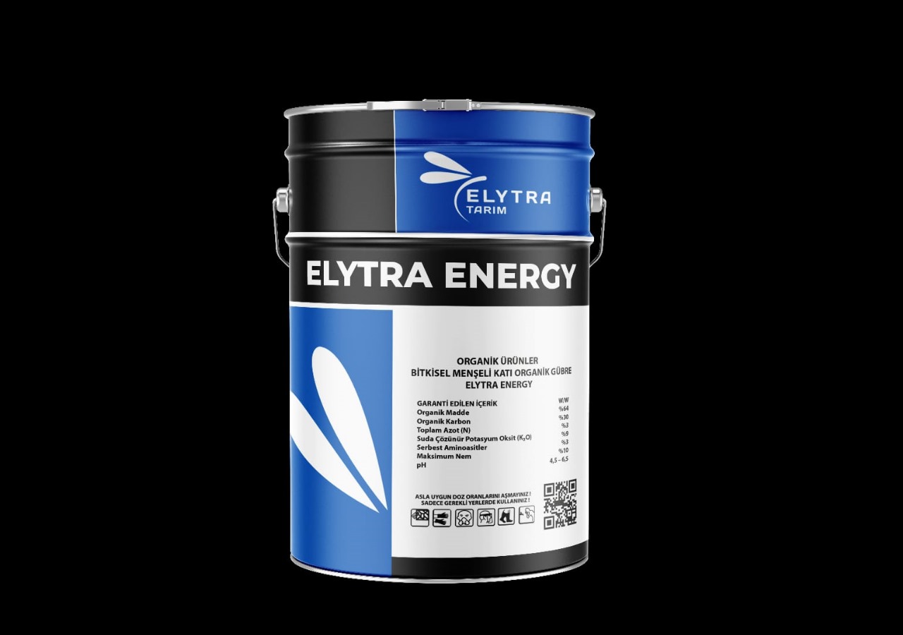 ELYTRA ENERGY 