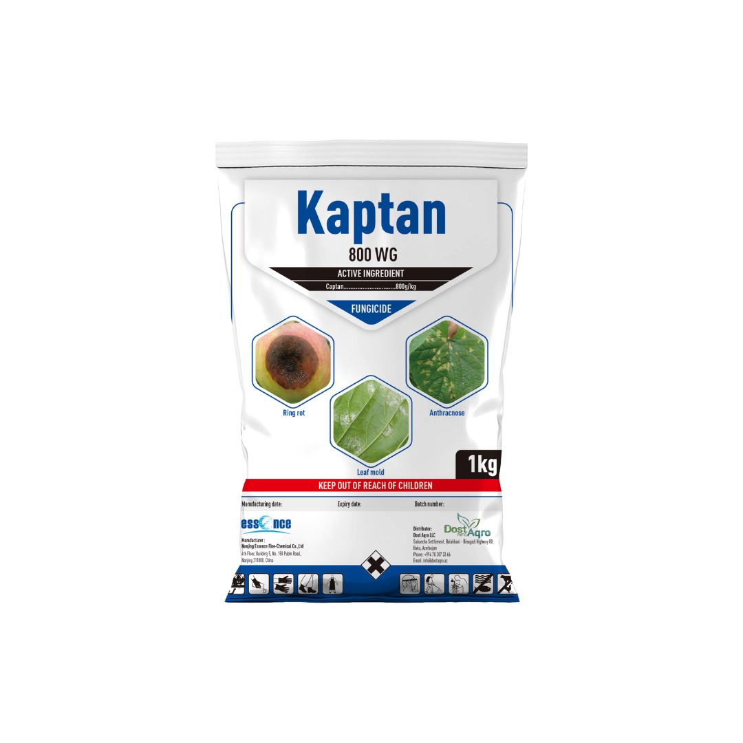 Kaptan 